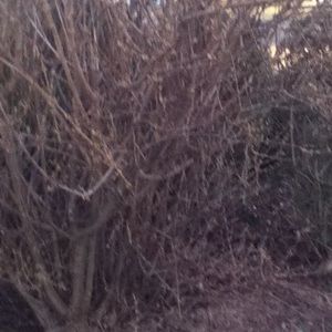 Meet your Posher, Gaurav